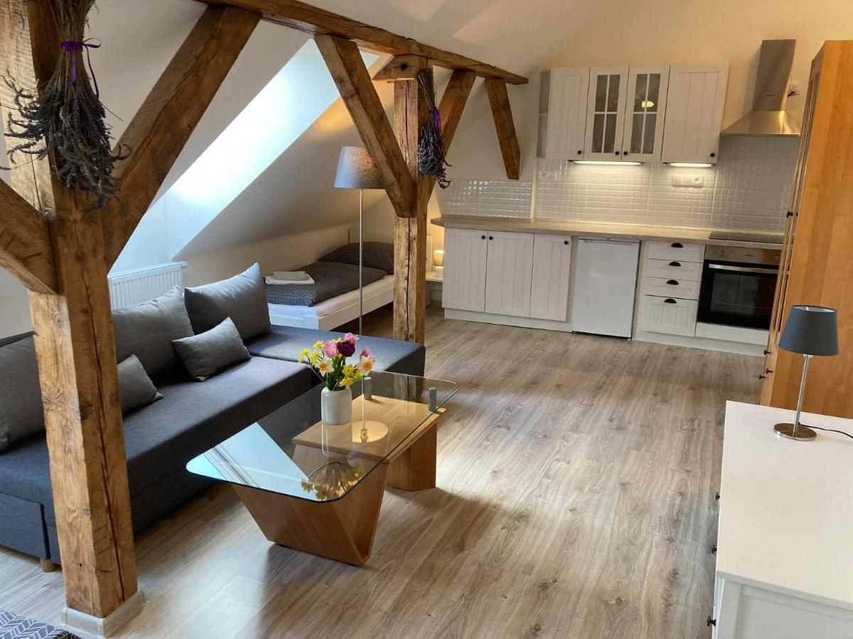 Apartmany Pod Radhostem Rožnov pod Radhoštěm エクステリア 写真